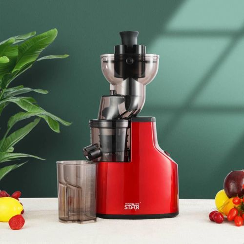 WINNING STAR Classic Wide Chute Juicer Extractor Machine Electric Fruit Slow Masticating Juicer Blender