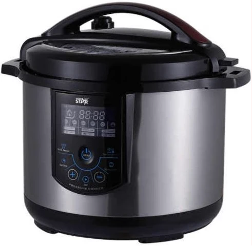 Winningstar 10L Multi-function Rice Electric Pressure Cooker With IMD Touch Panel, Silver