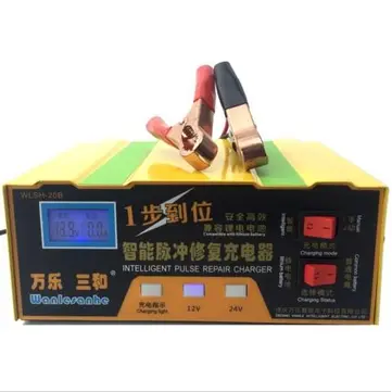 12V/24V 100AH Batterioplader Intelligent Acid Pulse Repair Type Lead Acid Lithium